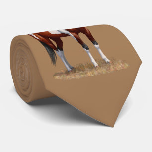 Corbata Bay Paint Horse