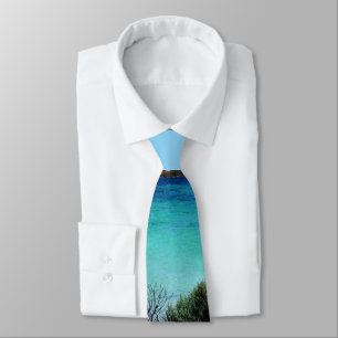 Corbata Beach Paradise