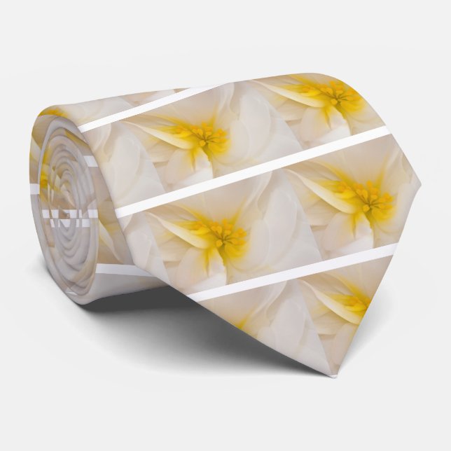 Corbata Begonia blanca (Enrollado)