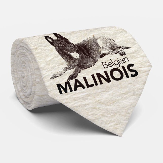 Corbata Belga Malinois - Mechelaar - Maligator (Enrollado)