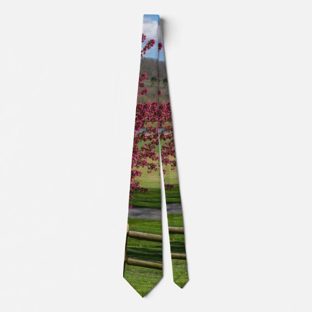 Corbata Belleza De Primavera En El Nillo De Cuello De Rive (Anverso)