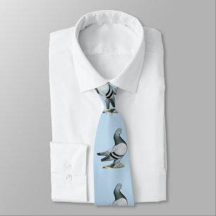 Corbata Berliner Tumbler Pigeon Blue Bar