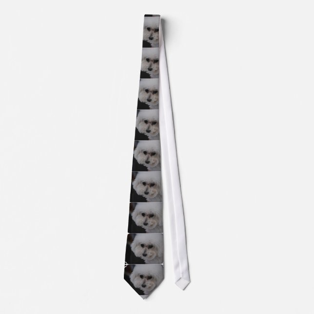 Corbata Bichon dulce Frise (Anverso)