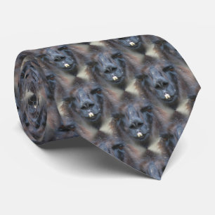 Corbata Black Llama Face Nature Pattern
