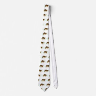 Corbata Blowfish