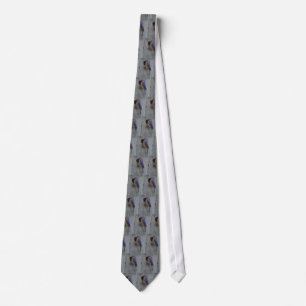 Corbata Bluebird en lazo de la caja