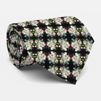 Corbata Bonito Crabapple Spring Flower Blossoms Resumen