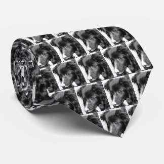 Corbata Borde Collie Face Pencil Art