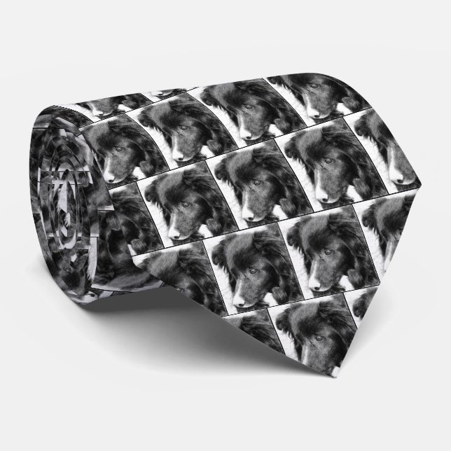 Corbata Borde Collie Face Pencil Art (Enrollado)