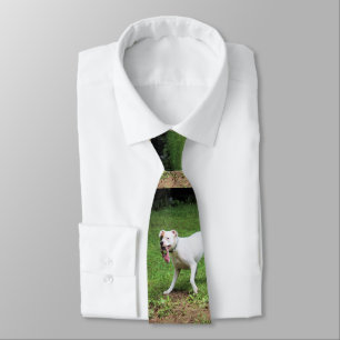 Corbata Boxeador