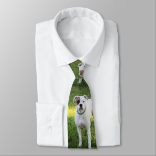Corbata Boxeador