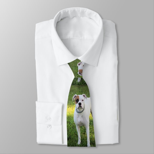 Corbata Boxeador (Atado)
