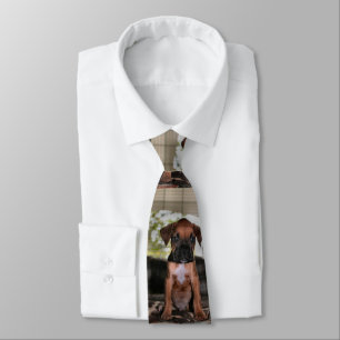 Corbata Boxer Baby