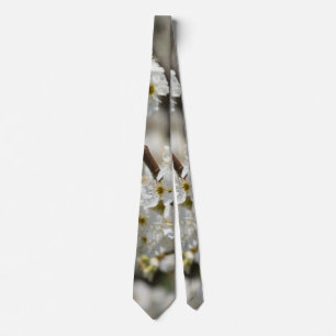 Corbata Bradford Select Focus