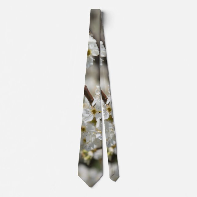 Corbata Bradford Select Focus (Anverso)