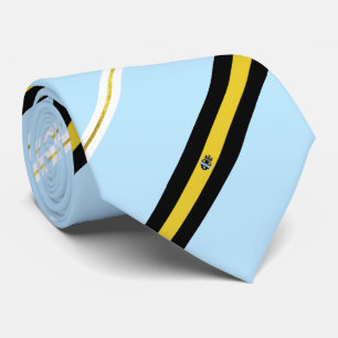 Corbata Brazos de la bandera de Pittsburgh