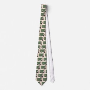 Corbata Bruja Malvada De Occidente