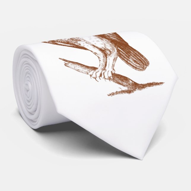 Corbata Búho en rama (Enrollado)