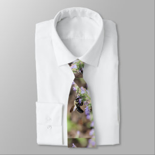 Corbata Bumble ocupado