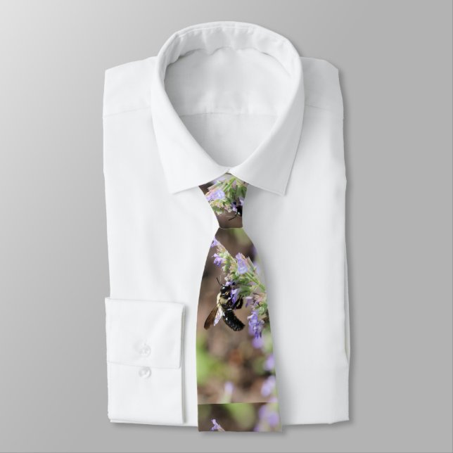 Corbata Bumble ocupado (Atado)