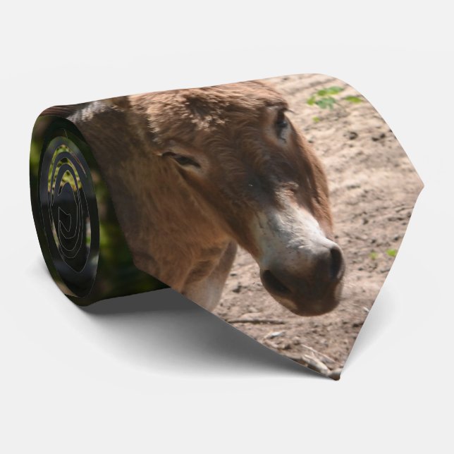 Corbata Burro Democratic (Enrollado)