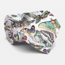 Corbata buttterflies verano, naturaleza