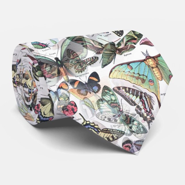 Corbata buttterflies verano, naturaleza (Enrollado)