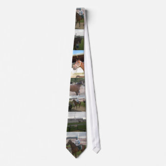 Corbata caballo de carreras