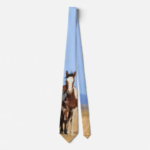 Corbata Caballo Pinto Salvaje
