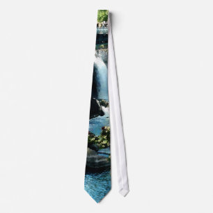 Corbata Caídas de Paterson