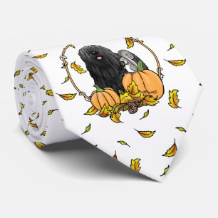 Corbata Calabazas de perro de Puli de otoño (negras) dejan