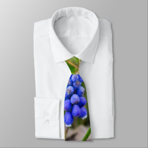 Corbata Calzado de cuello Hyacinth de uva solitaria