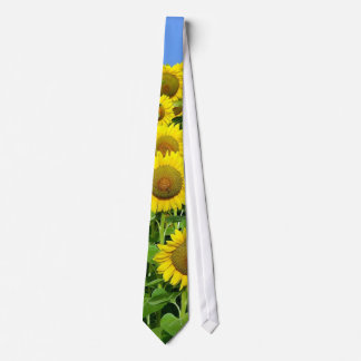 Corbata Campos del girasol