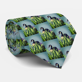 Corbata Canadá Goose Irises Nature Art Blue