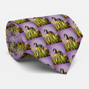 Corbata Canadá Goose Irises Nature Art Purple