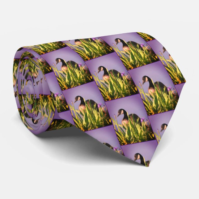 Corbata Canadá Goose Irises Nature Art Purple (Enrollado)