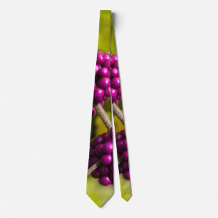 Corbata Canto de cuello de baya estadounidense