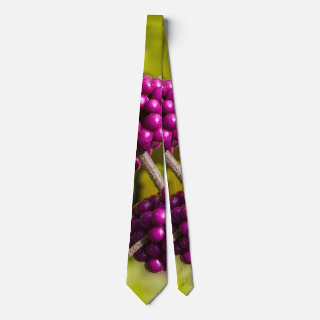 Corbata Canto de cuello de baya estadounidense (Anverso)