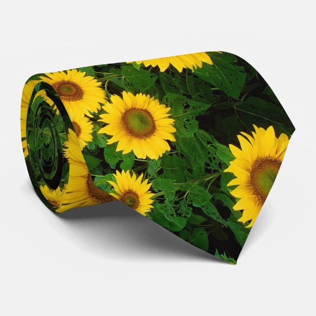 Corbata Canto de cuello de girasol (Enrollado)