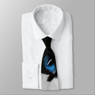 Corbata Canto de gato tuxedo ojos azules