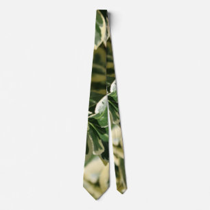 Corbata Canto variado de los verdes