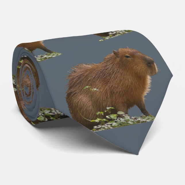 Corbata Capibara (Enrollado)