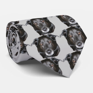 Corbata Cara de perro recuperadora del labrador negro