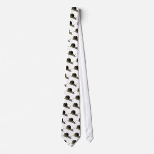 Corbata Caracol