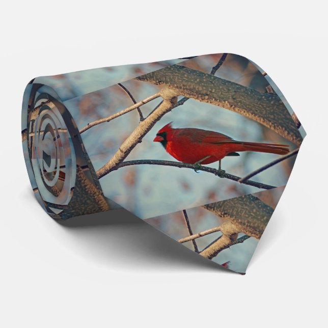 Corbata Cardenal masculino de bonito (Enrollado)