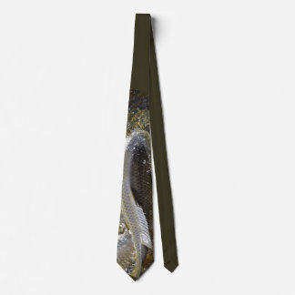 Corbata Carp Tie