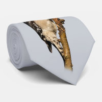 Carpintero lechoso en árbol de frutas