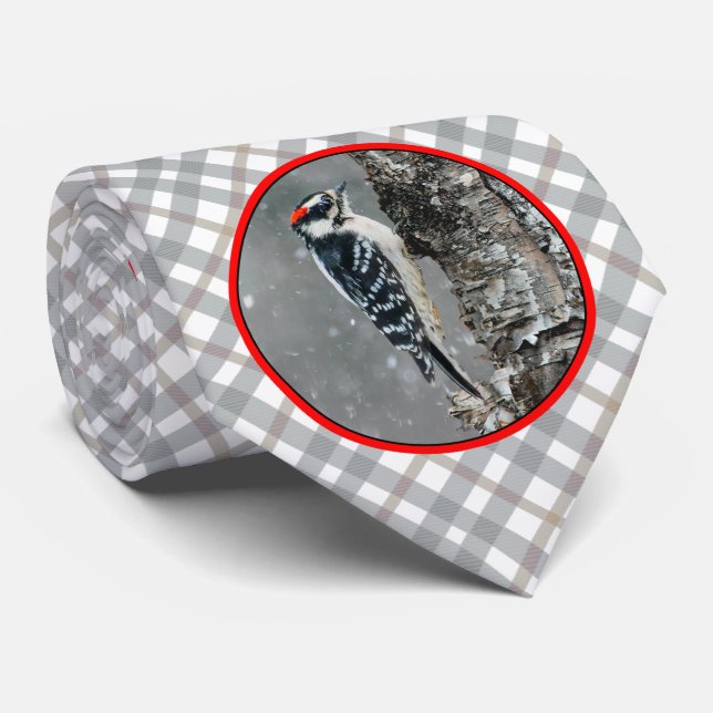 Corbata Carpintero lechoso en nieve - Fotografía original (Enrollado)