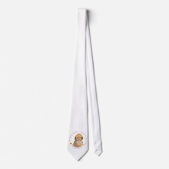 Corbata Cavachon cachorro primera Navidad (Anverso)