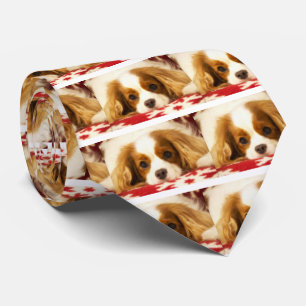 Corbata Cavalier King Charles Spaniel copo de nieve